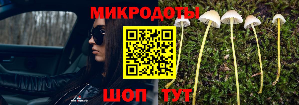 Псилоцибиновые грибы MAGIC MUSHROOMS Гатчина