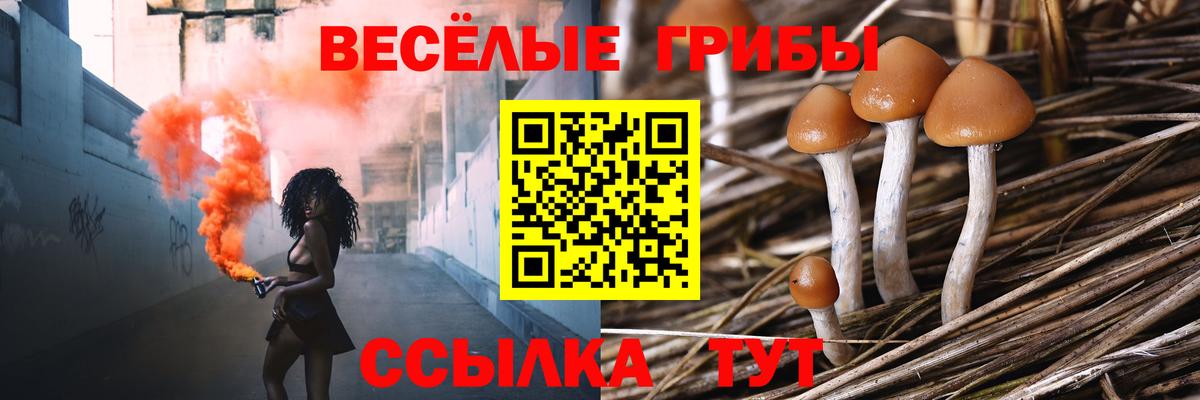 Псилоцибиновые грибы мицелий  Псилоцибиновые грибы мухоморы  Вход с VPN  Гатчина 